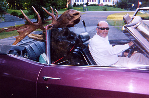 Dr. John Maloney and his moose